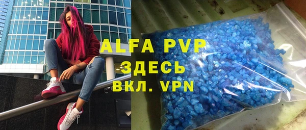 сатива Арсеньев