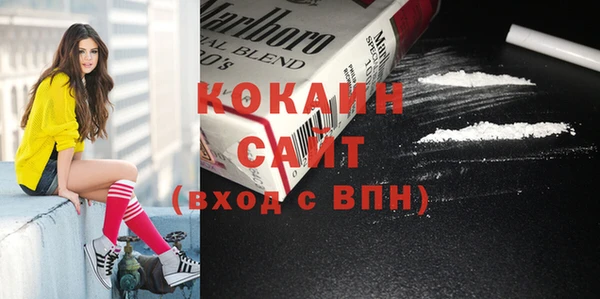 шишки Армянск