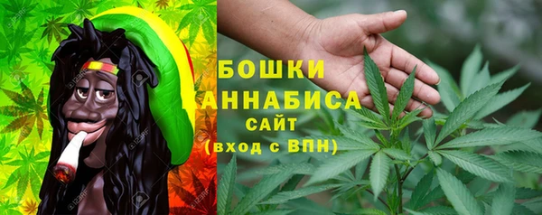 шишки Армянск