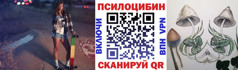 Псилоцибиновые грибы мухоморы  Судак 